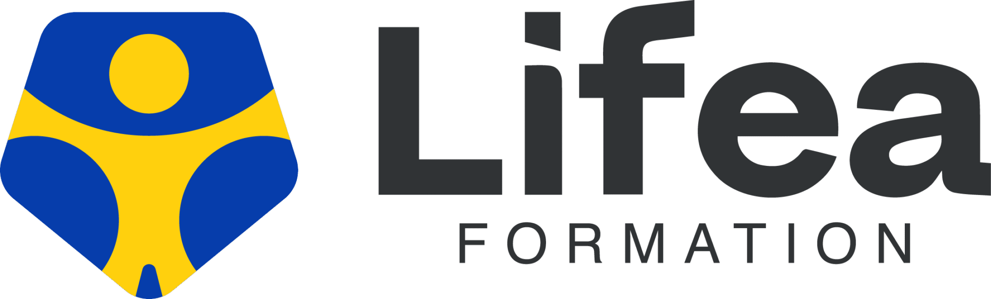 TPMR (Transport de Personne à Mobilité Réduite) - Lifea Formation